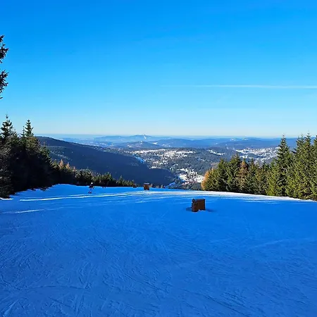 Enjoyharrachov - Atraktivni Slunne Certovka V Centru Harrachova S Garazovym Parkovanim, Wifi-wlan, Ipad, Sat, Herni Konzoli, Netflix Zdarma A Nejkrasnejsim Vyhledem Na Certovu Horu S Arealem Skokanskych Mustku A Sjezdovku Jen 150m Od Lanovky Harrachov
