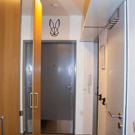 Apartamento Enjoy - Atraktivní Slunné čertovka V Centru Harrachova S Herní Konzolí, Netflix, Jedinečným Výhledem Na čertovu Horu A Areál Skokanských Můstků Se Sjezdovkou *