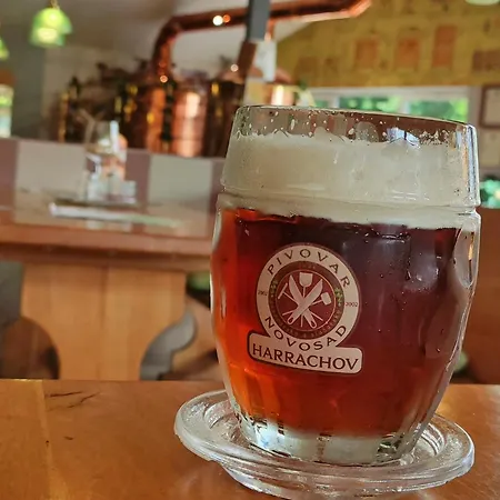 Enjoyharrachov: Sunny With Mountain Views And Entertainment Harrachov